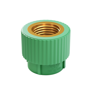 Female Adapter Socket